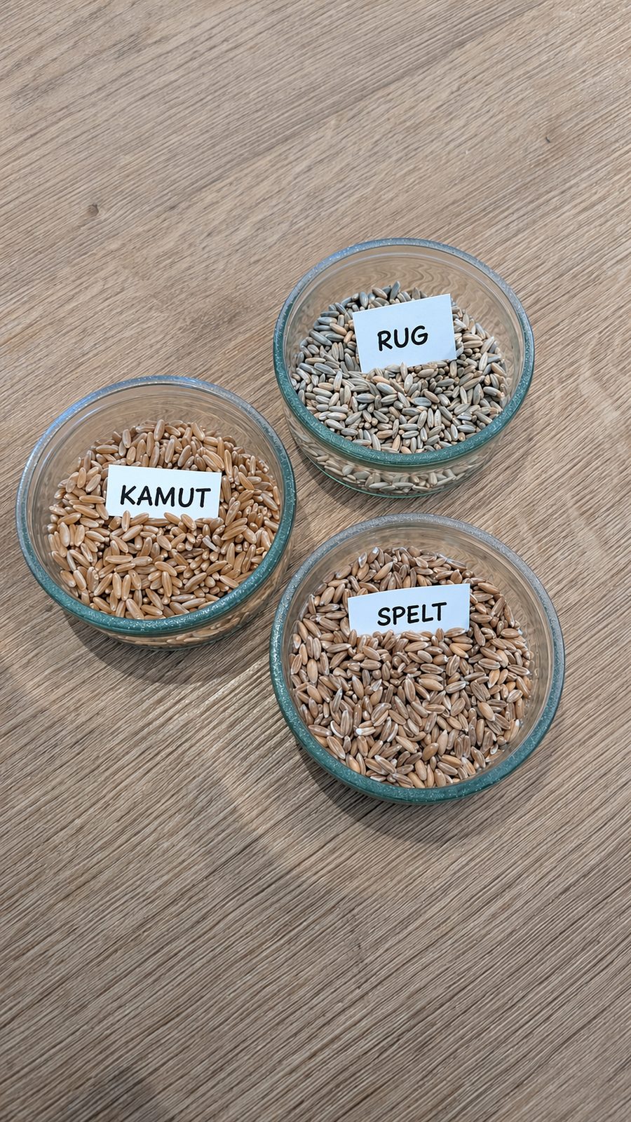 Tre skåle med kamut, rug og spelt — gamle kornsorter klar til at males