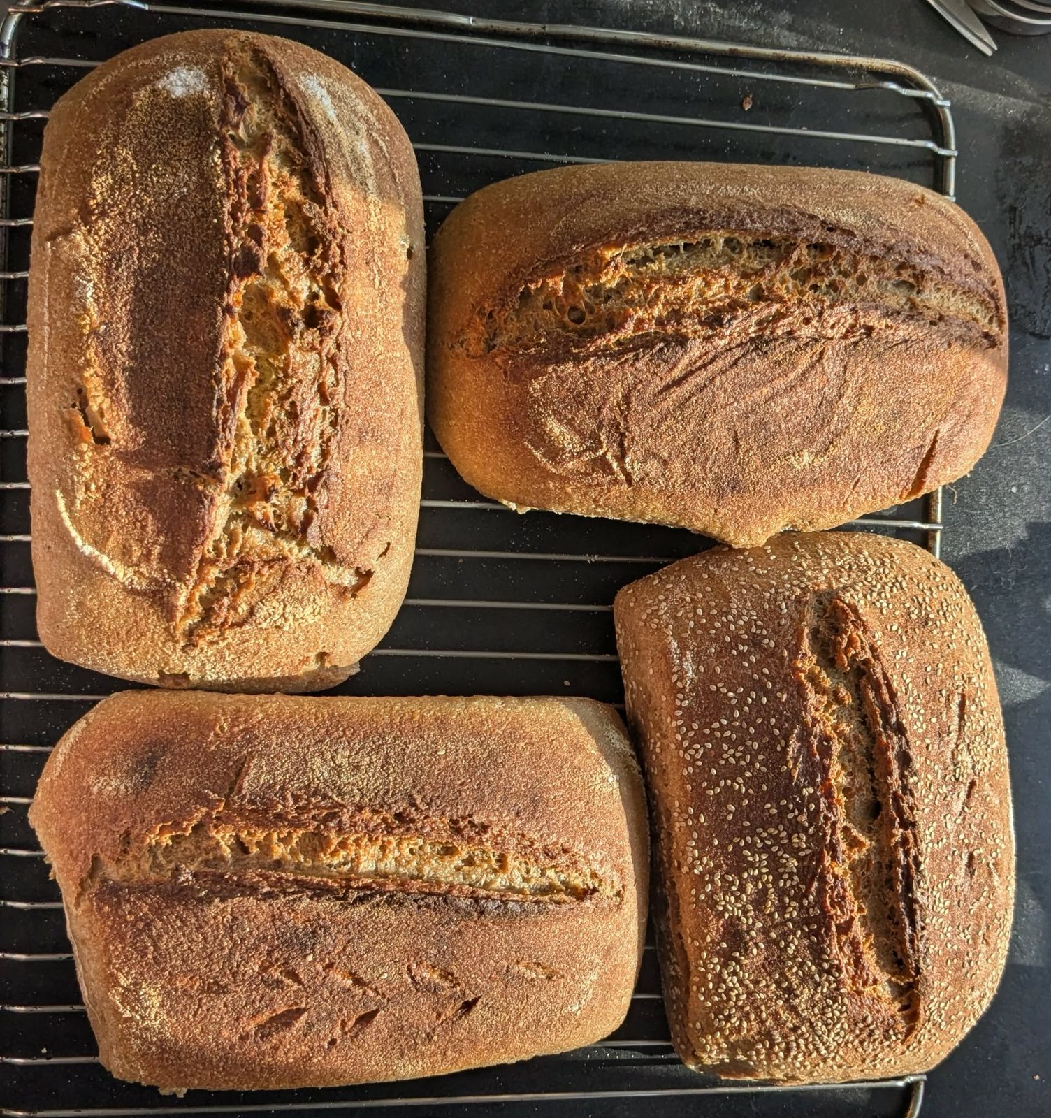 Fire søndagsbrød på køleristen efter bagning